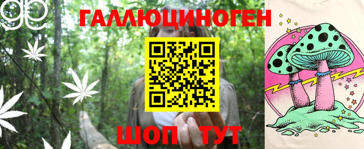 Галлюциногенные грибы Psilocybe Саров