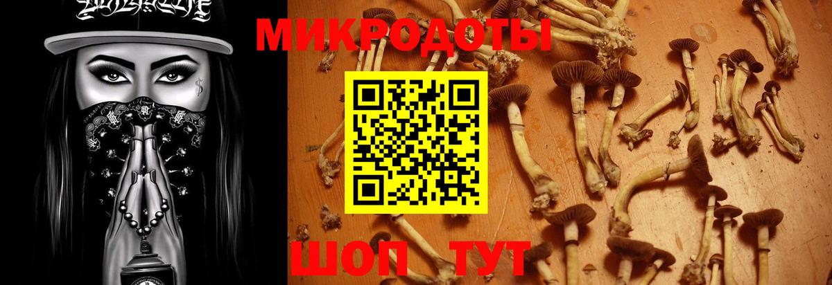 Саров  Галлюциногенные грибы Magic Shrooms  Вход с VPN  Псилоцибиновые грибы Magic Shrooms 